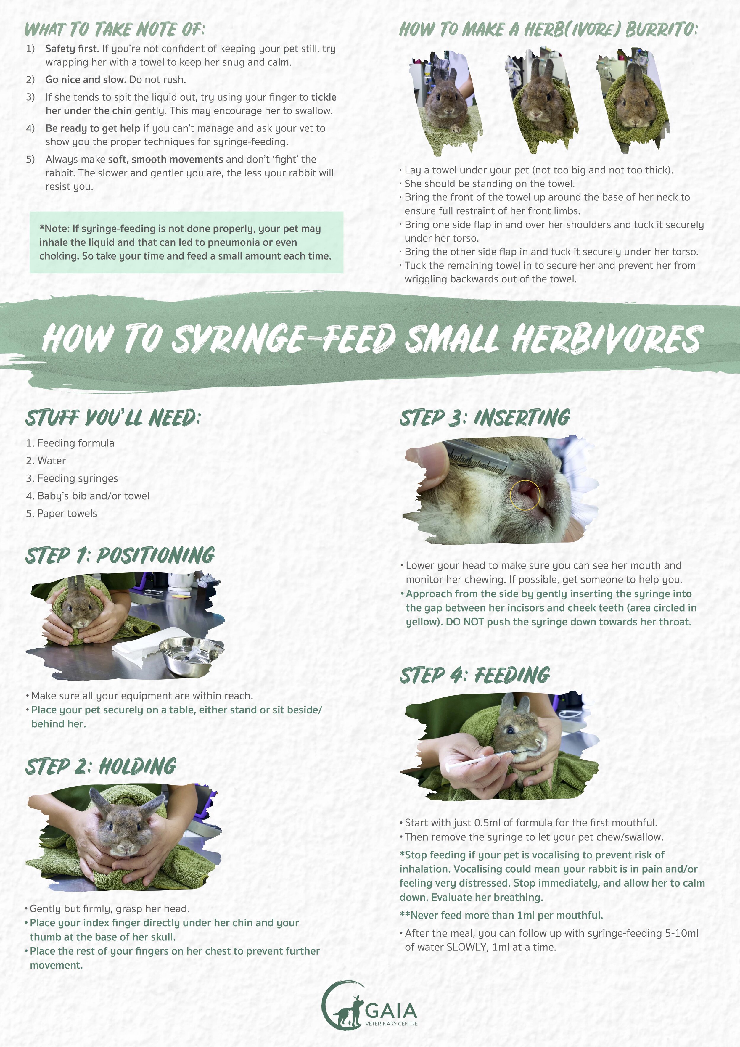 Syringe feed best sale rabbit